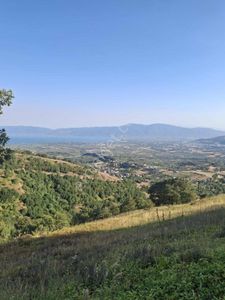 Milli Emlak Hisseli Satılık 4.381.44 M2 Göl Manzaralı Arazi