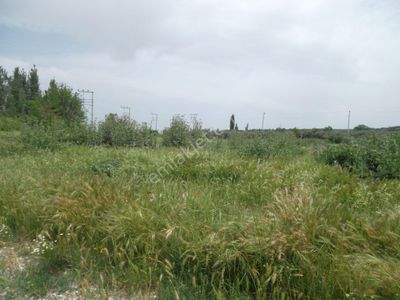 Manisa Salihli Caferbey Mahallesi İle Gülnar Sitesi Arasında Satılık Arsa