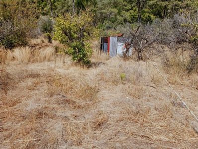 Ortaca Çaylı Mah,4000m2 Tarla