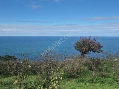 Sönmezden Perşembe Çaytepede Satılık Arsa