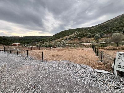 Namlı'dan Menderes Çatalca Köyünde Tarla