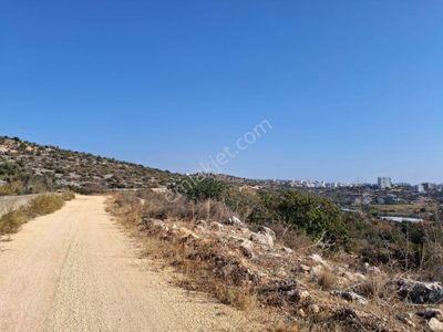 Susanoğlu Kapızlı’da 4.655 M², Deniz Manzaralı, İmar Potansiyelli Yatırımlık Tarla