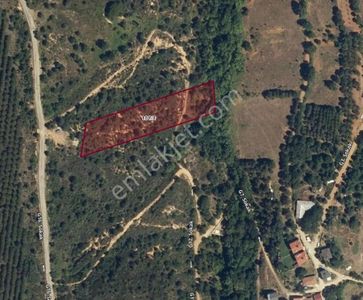 Tokdemir Gayrimenkul'den Hayriye Köyü Yol Kenarında Tarla