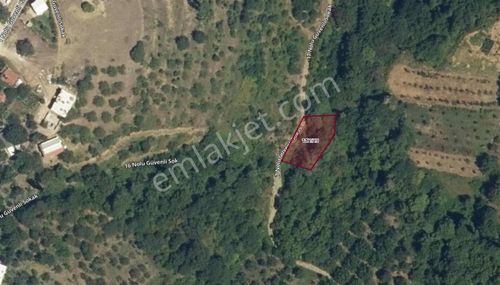 Tokdemir Gayrimenkul'den Güvenlide Satılık Bağ & Bahçe