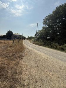 Sakarya Kocaali De Satılık Sanayi Arsası