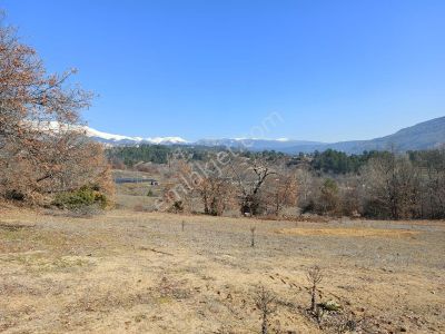 Milyarder'den Küçük Delilerde 4217 Mt2 Satılık Tarla