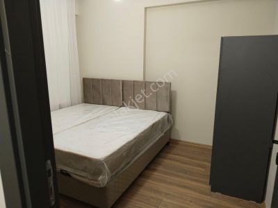 Üniversite Civarında Kiralık, Sıfır Eşyalı 1+1 Ve 2+0 Daireler