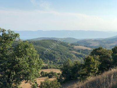Uzmanlar'dan Karamürsel Fulacık %5 İmarlı 26.724 M2 Satılık Tarla