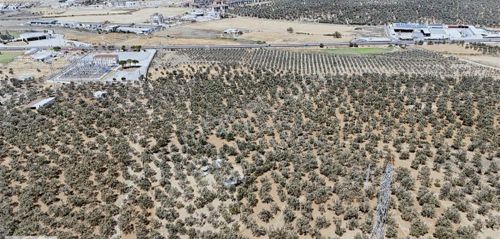 520 Gayrimenkulden Ayvalıkı En Güzelkonumda 3 Tapu Satılık