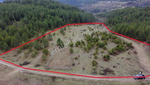 Mengen Kıyaslar Köyünde Yatırımlık 8 Dönüm Satılık Tarla