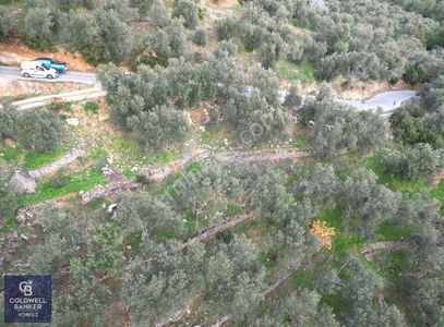 Altınoluk'ta, Lebi Derya Deniz Manzaralı,15/30 Villa İmarlı Arsa