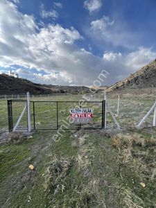 Kuzey Emlak Tan Asfalst Yola Cephe Acil Satılık 1020 Metre Kare