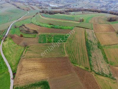 Adapazarı Salmanlı'da 895m2 Fırsat Tarla