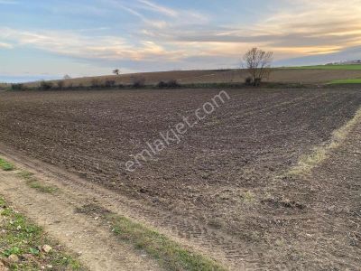 Vize Gayrimenkulden Çavuşköyde 5.570 M2 Tek Tapu Tarla