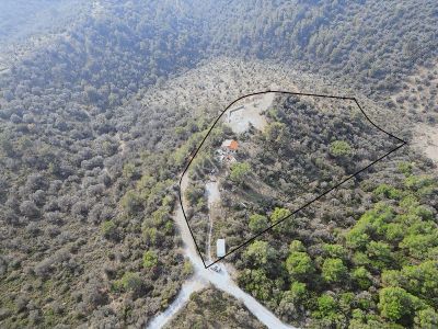 Seferihisar Turabiyem Satılık Zeytinlik Arazi