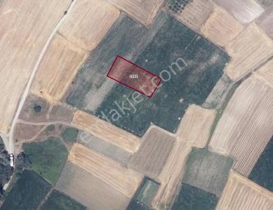 Bursa Karacabey Harmanlı Da Satılık Arazi Yatırıma Uygun