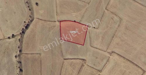 Kocasinan Kaş Da Toplam 6.612 M2 Satılık Tarla