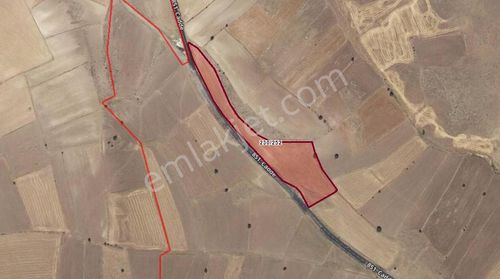 Çevril De Tek Tapu 12.000 M2 Satılık Tarla