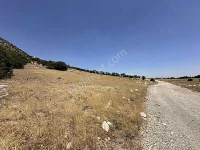 Göl Manzaralı Yolu Üzeri 1.400 M2 Hobi Bahçesi Muhteşem Yatırım