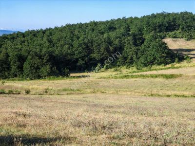 Turyap Körfezden Körfez Kalburcu Köyünde Satılık 6200 M2 Tarla