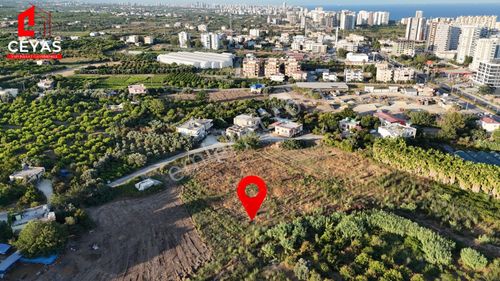 Mezitli Tece 20lik Yola Cephe 434m² E=1.00 8kat İmarlı Net Arsa