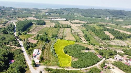 Köy İçinde Yola Cepheli Satılık Açık Arazi