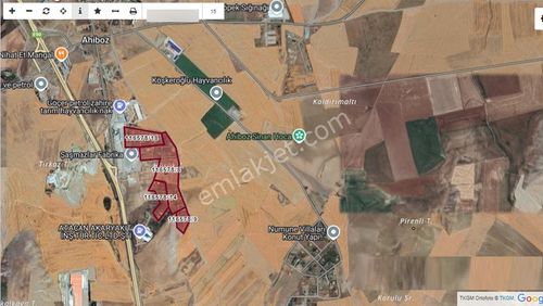 Ahiboz Da 1000m2 Tel Örgü +elektrik+su Mevcut Kooperatif Hissesi