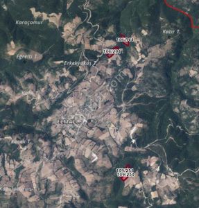 Turyap Cıty'den Tarıma Ve Yatırıma Uygun Kaçırılmayacak Fırsat