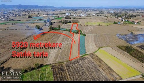 Adapazarı Çökekler Mah.'de Yola Cephe Satılık Tarla!!!