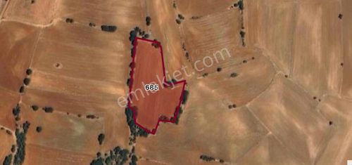 Özbey Emlaktan Sivrihisar Sarkavak'ta 8.400 M² Tarla