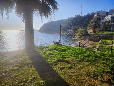 Mordoğan Emlaktan Ardıç Ayıbalığına 60 M.mesafede Satılık Arsa