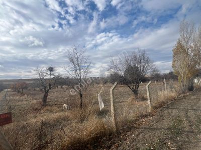 Cb Vizyon Gökhan Koral'dan Asfalta Cephe İmar Sınırında Tarla