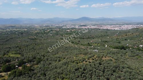Kent Gayrimenkul'den Hisarlık'ta Satılık Arsa