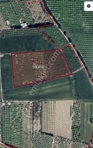 Sarsılmaz Grupdan Dalaman Havalimanı Dibinde Satılık Arsa