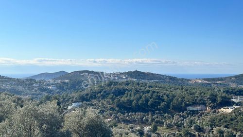Doğa Ve Deniz Manzaralı Yatırımlık Yer Arayanlara!