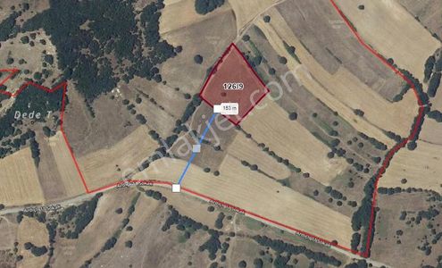 8,5 Dönüm Yatırımlık Tarla