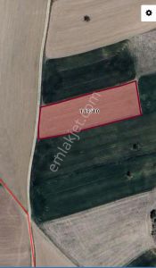 Kahraman Kazan Akçaörende Tek Tapu 4158m2 Tarla