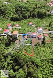 Trabzon Dolaylı Da Satılık 3 Katlı Karkas Bina Ve Arsa