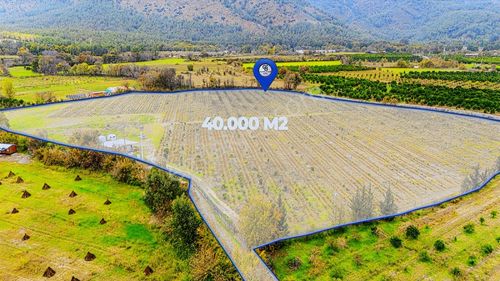 Cbmarina'dan Köyceğiz Toparlar'da Müstakil Tapulu 40 Dönüm Tarla