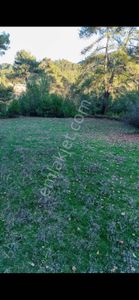 Bağyakada Doğa İçinde Muhteşem Tarla