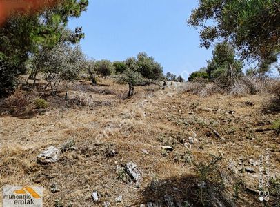 Muhendis Emlak'tan Bayındır Kızılcaova Köye 350 M. 7756 M2 Tarla