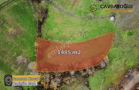 Samsun Kavak Yenigün Mahallesi Köy İçinde Satılık Tarla