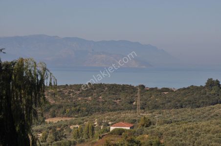 Kuşadası Golf Oteli Yanı Deniz Manzaralı 63 Dönüm Trzm+tic. Arsa