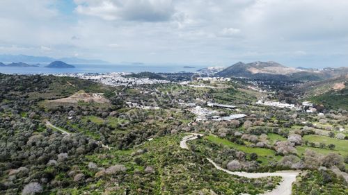 Turgutreiste Full Deniz Manzaralı Tek Tapu 5000m2 Tarla