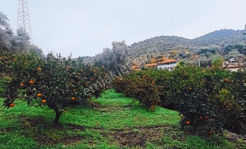 1247 M2 Mandalina Bahçesi(yol, Elktr, Suyu Var) Rw Akar'dan