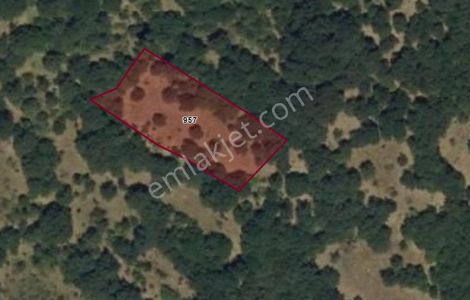 Bilecik Merkez Kapaklı 1.760 M² Satılık Takasa Uygun