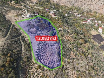 Acil!yeni Rota'dan Onikişubat Uludaz Mah. Satılık 12.082 M2 Bağ