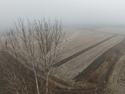 Yeni Rota'dan Göksun Gölpınar'da Satılık Tarla