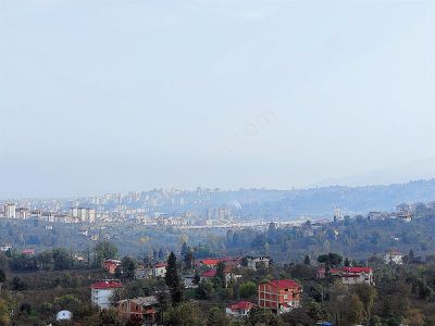 Ordu Karacaömer Mahallesi Satılık Fındık Bahçesi