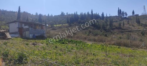 Lidyadan Ulaşlıda 555 M2 %15 İmarlı Deniz Manzaralı Arsa